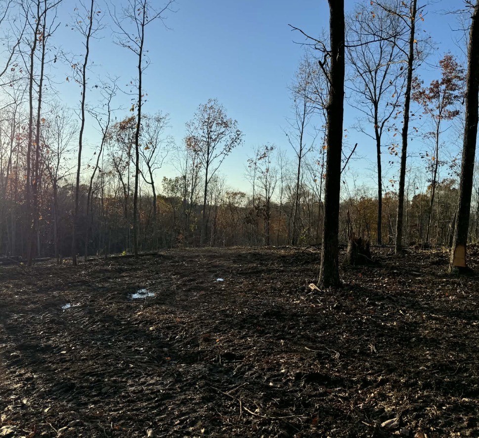 260 Lineport Road Bumpus Mills, TN 37028 - Photo 3 of 4 a view of a backyard of the house