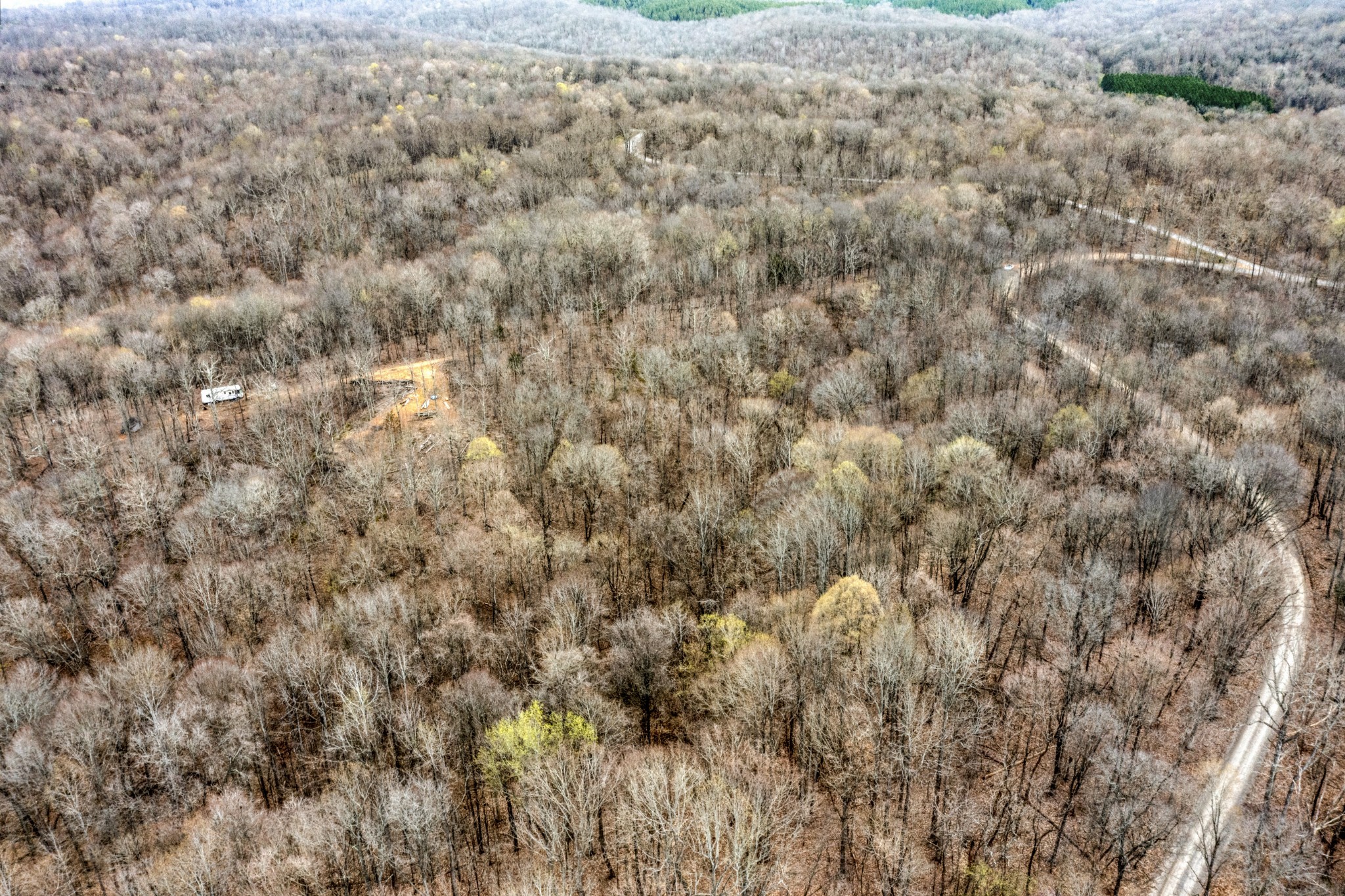 260 Lineport Road Bumpus Mills, TN 37028 - Photo 4 of 4 a view of a covered with green space