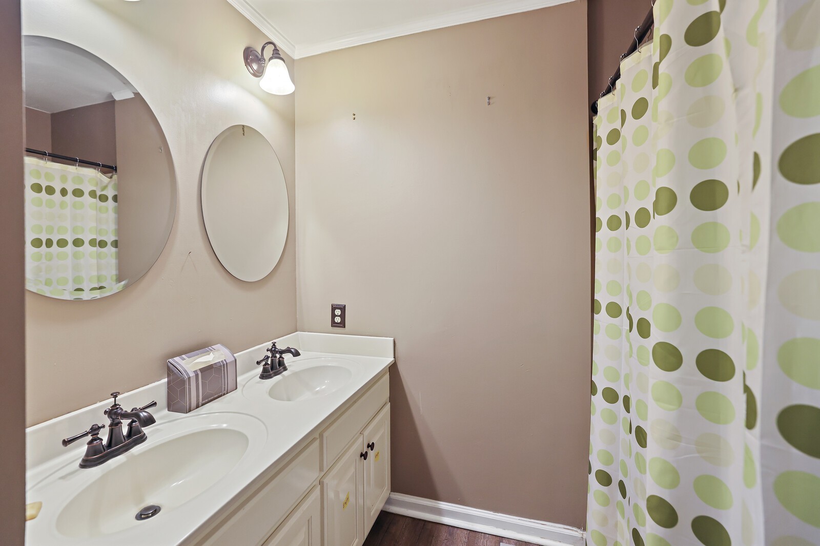 220 Hampton Road Columbia, TN 38401 - Photo 30 of 74 a bathroom with a sink vanity mirror and a toilet
