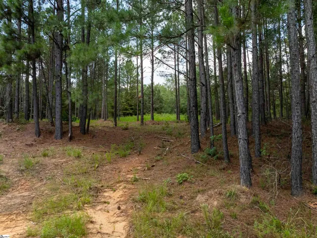 $50,000 | 7 Neal Shoals Road, Union, SC 29379