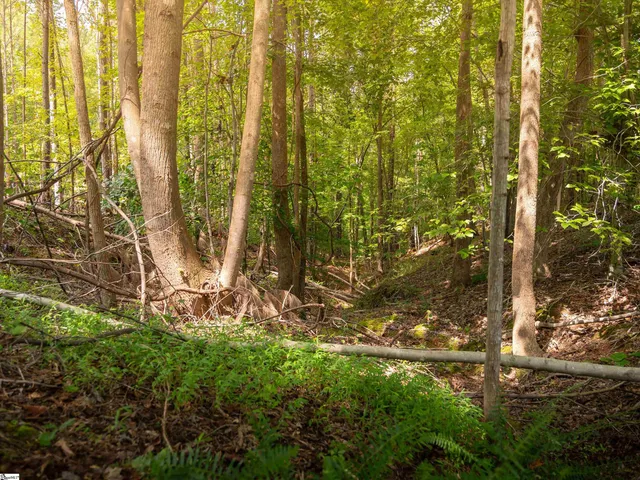 $50,000 | 7 Neal Shoals Road, Union, SC 29379