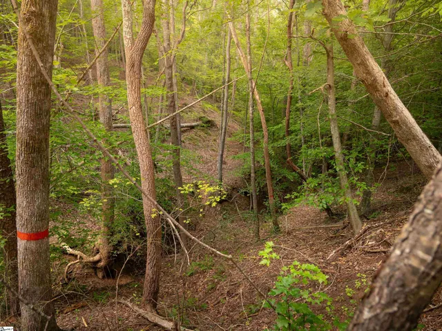 $50,000 | 7 Neal Shoals Road, Union, SC 29379