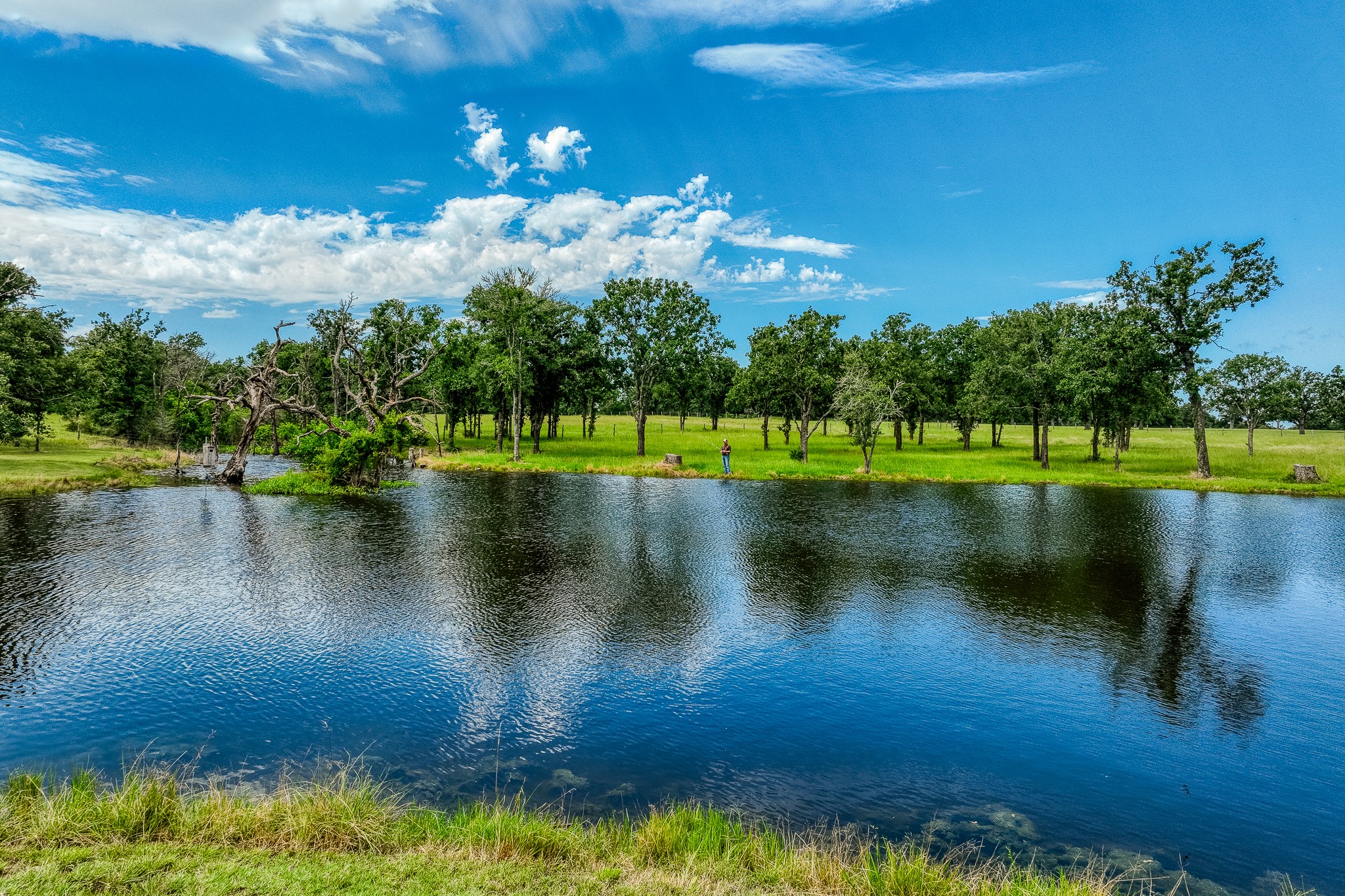 10092 County Road 446 Somerville, TX 77879 - Photo 2 of 50 a view of a lake with a yard