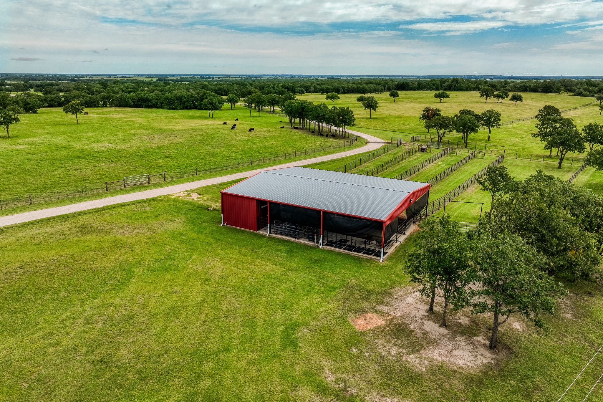 10092 County Road 446 Somerville, TX 77879 - Photo 44 of 50 a view of a field with an ocean