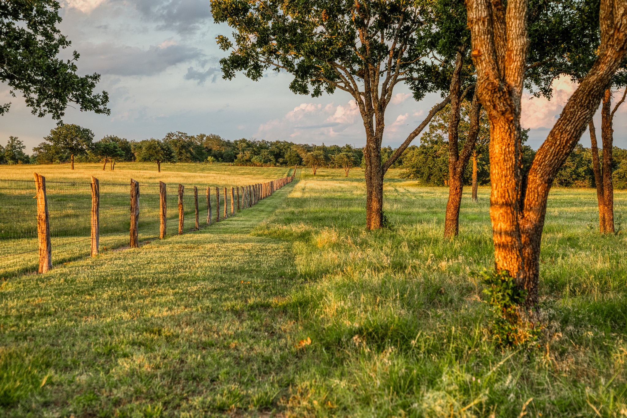 10092 County Road 446 Somerville, TX 77879 - Photo 48 of 50 a view of a yard with swimming pool