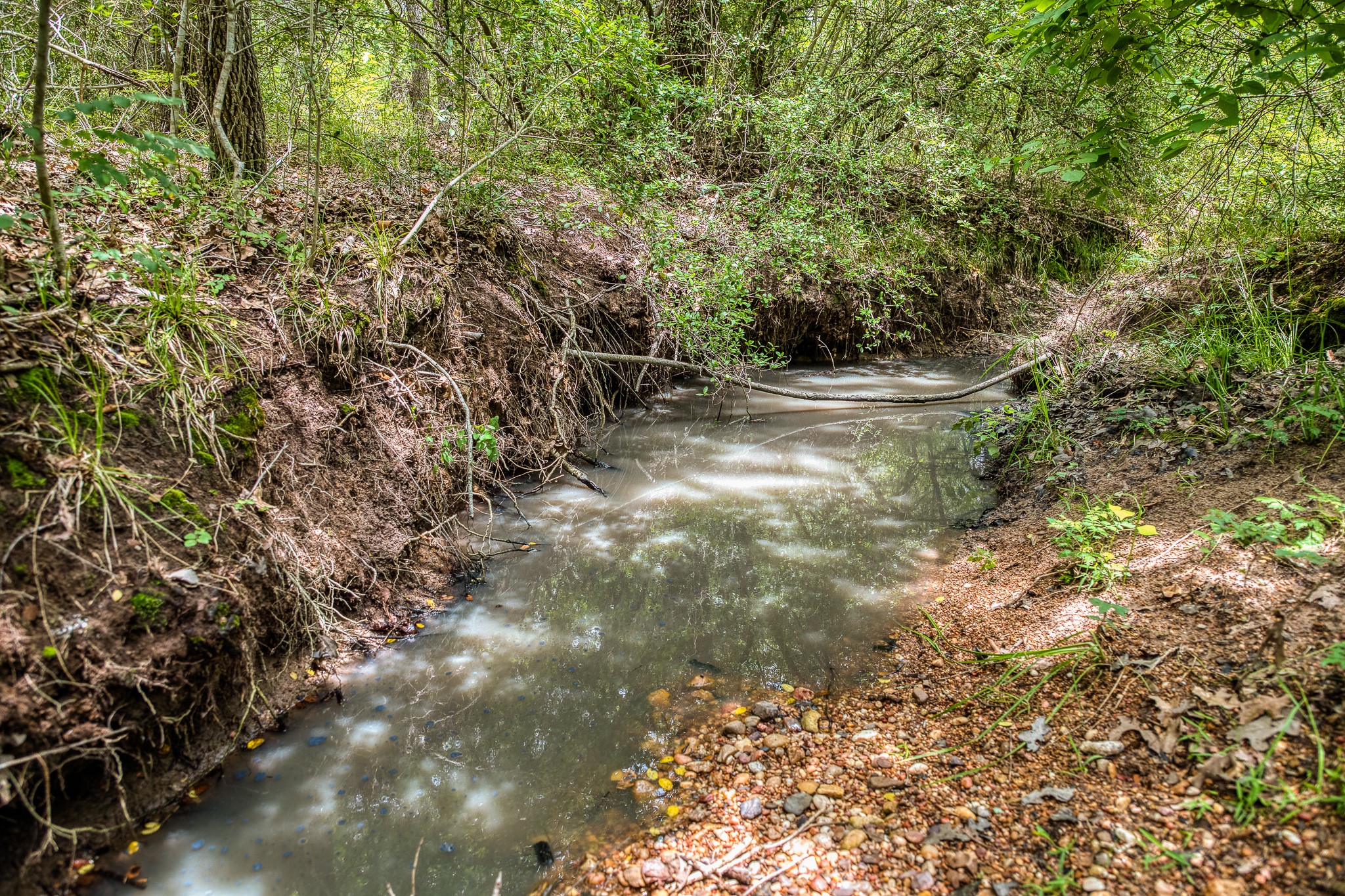 10092 County Road 446 Somerville, TX 77879 - Photo 50 of 50 a view of outdoor space and yard