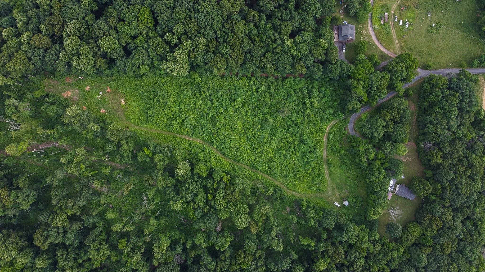 Tbd Rosen Lane Staunton, VA 24401 - Photo 2 of 14 a view of a lush green forest