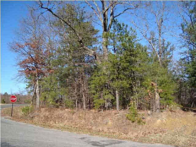 0 Walkers Gap Road, Unit 3 37 AC Springville, AL 35146 - Photo 1 of 9