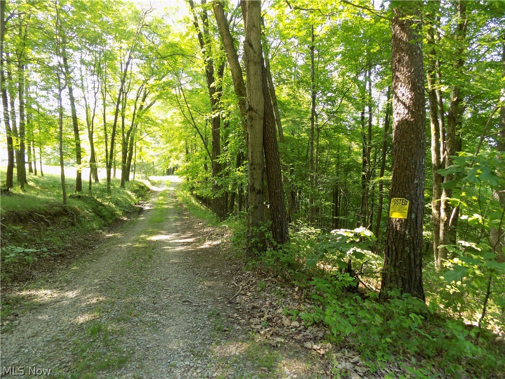 Grassy Road Walker, WV 26180 - Photo 2 of 18