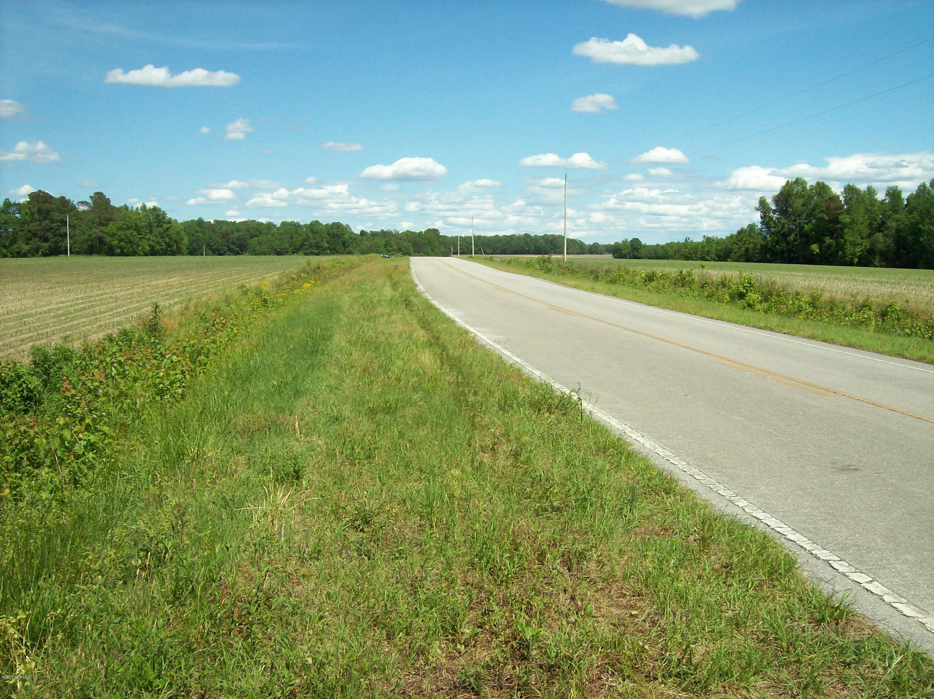 1170 Mable Spaulding Road Whiteville, NC 28472 - Photo 2 of 7 2019-05-06 03.25.12