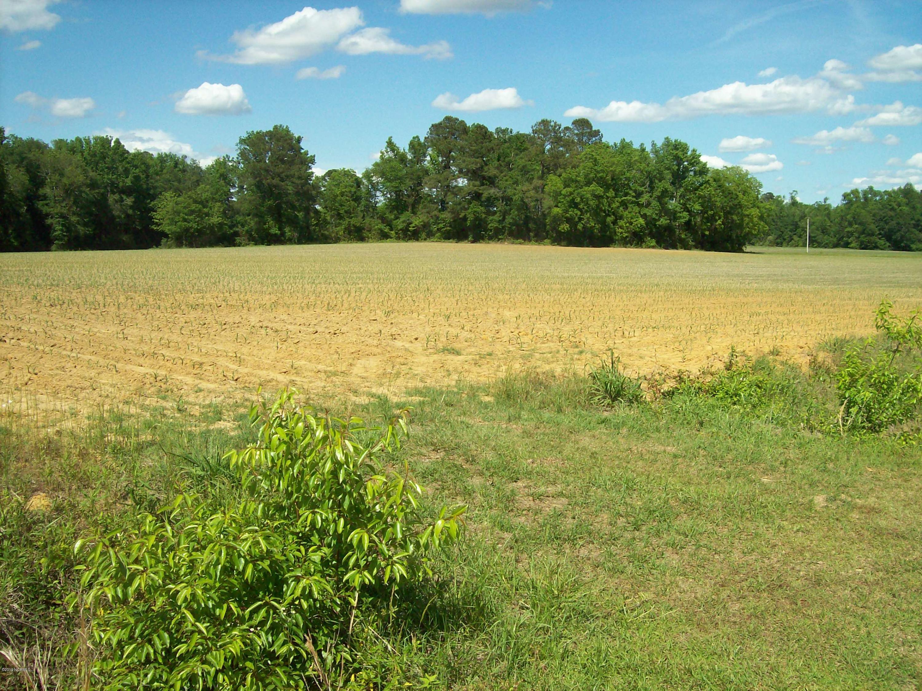 1170 Mable Spaulding Road Whiteville, NC 28472 - Photo 4 of 7 2019-05-06 03.34.22