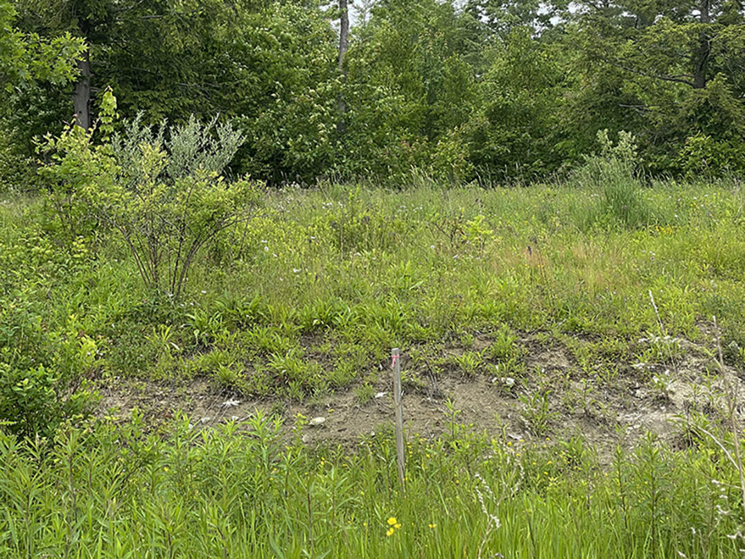4 Ridgewood Drive Pittston, ME 04345 - Photo 1 of 9 1