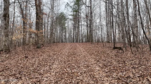 a view of room with trees