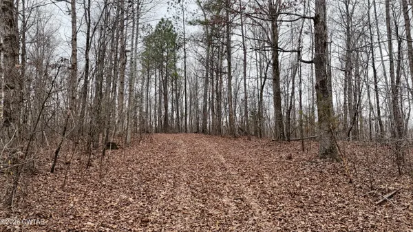 a view of outdoor space with lots of trees