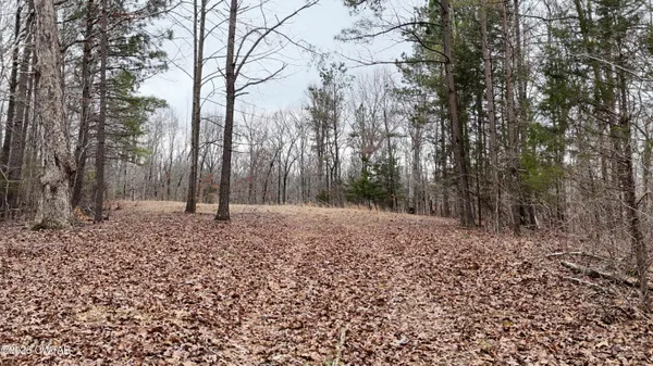 a view of a house and a window