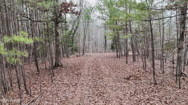 a backyard of a house with lots of green space and a fountain