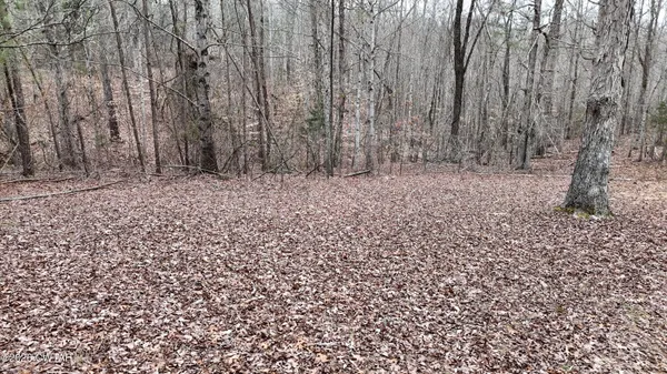 a view of a yard with trees