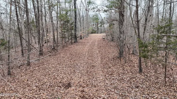 a view of a yard with trees