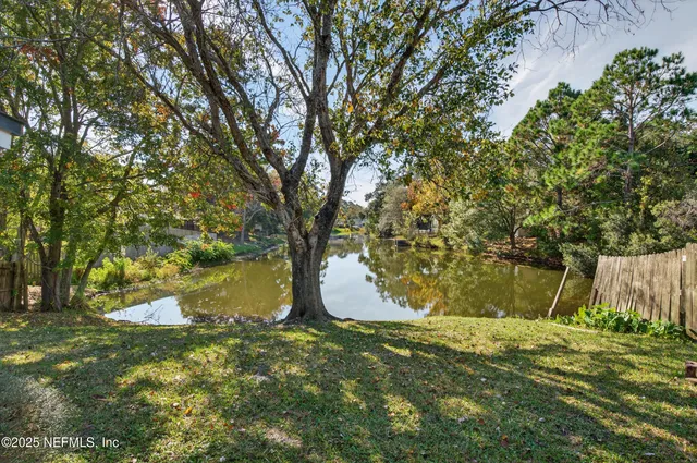 a view of yard with tree
