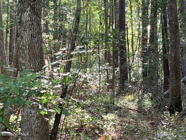 Lot 105 Persimmon Road Southwest Calabash, NC 28467 - Photo 8 of 14 105_8