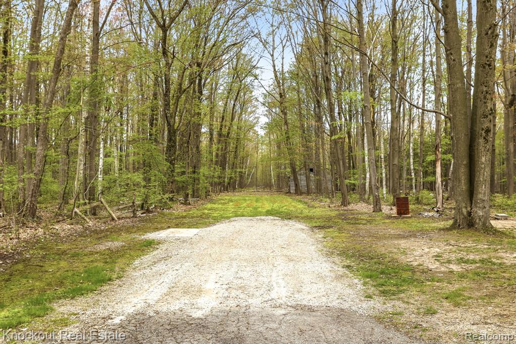 1608 South Pinnebog Road Bad Axe, MI 48413 - Photo 46 of 54