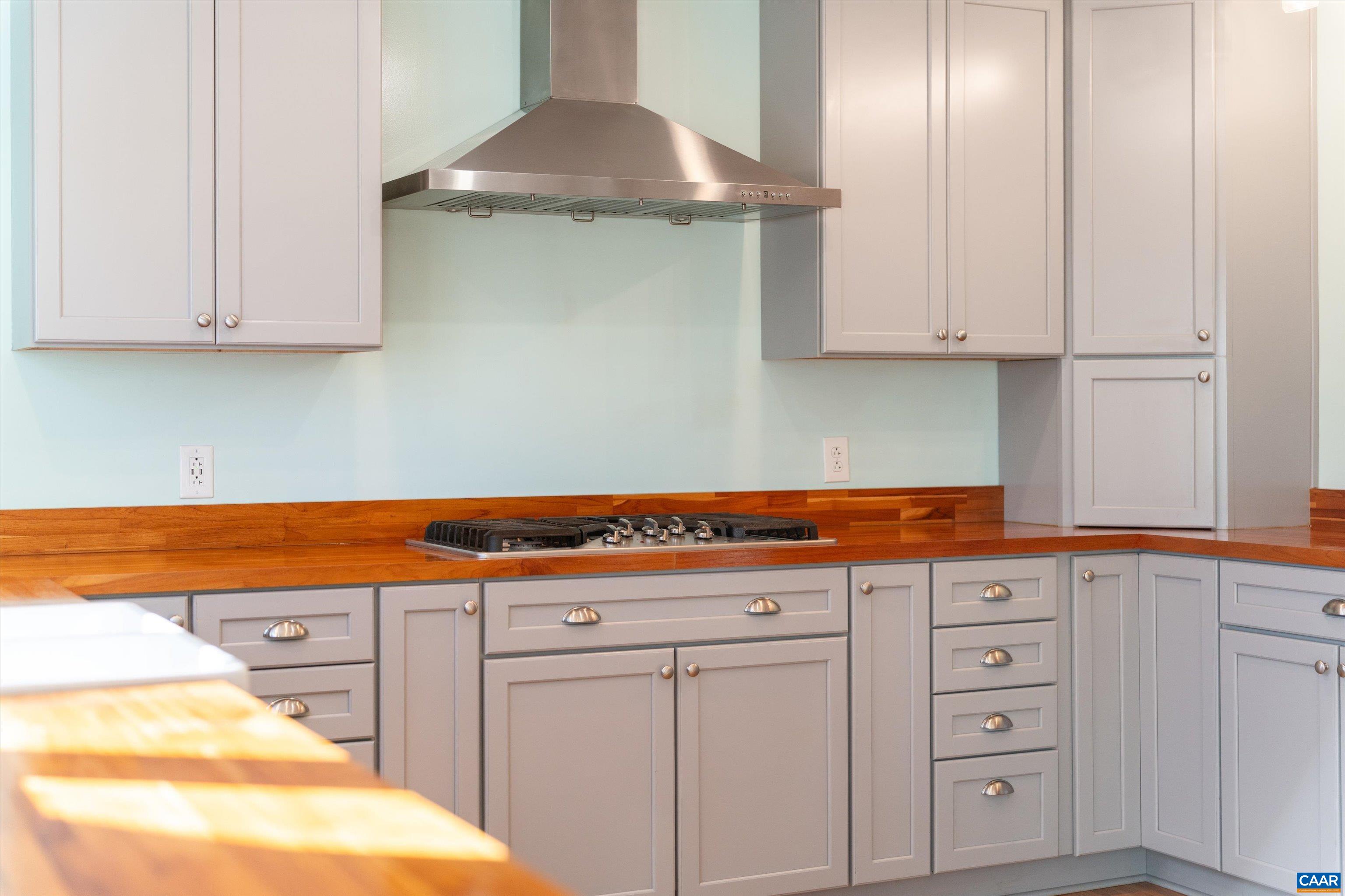 9 Vine Ridge Drive Palmyra, VA 22963 - Photo 34 of 73