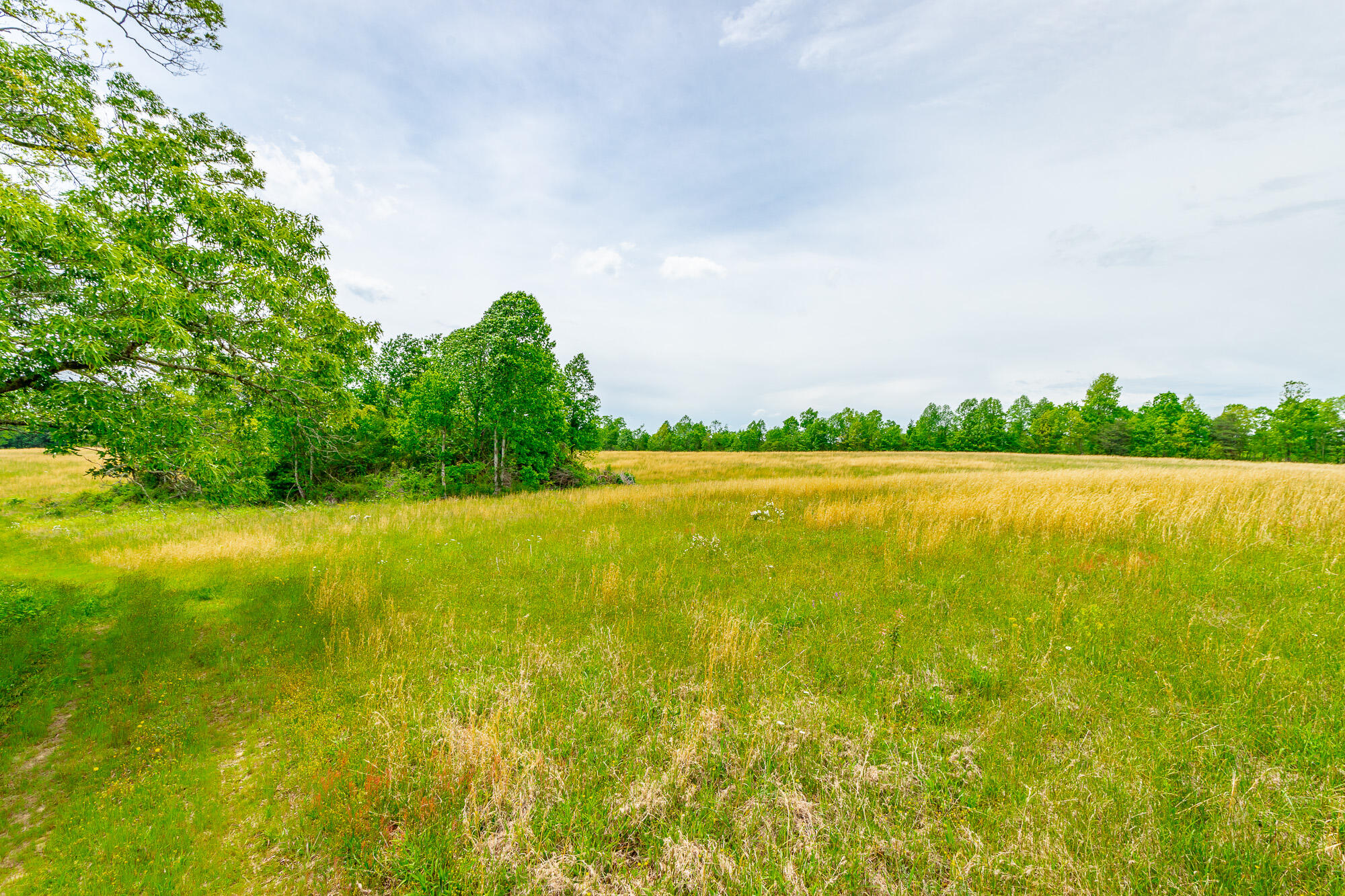 0 Ray Gadd Road Graysville, TN 37338 - Photo 55 of 109 Ray Gadd Road Lot HD-47