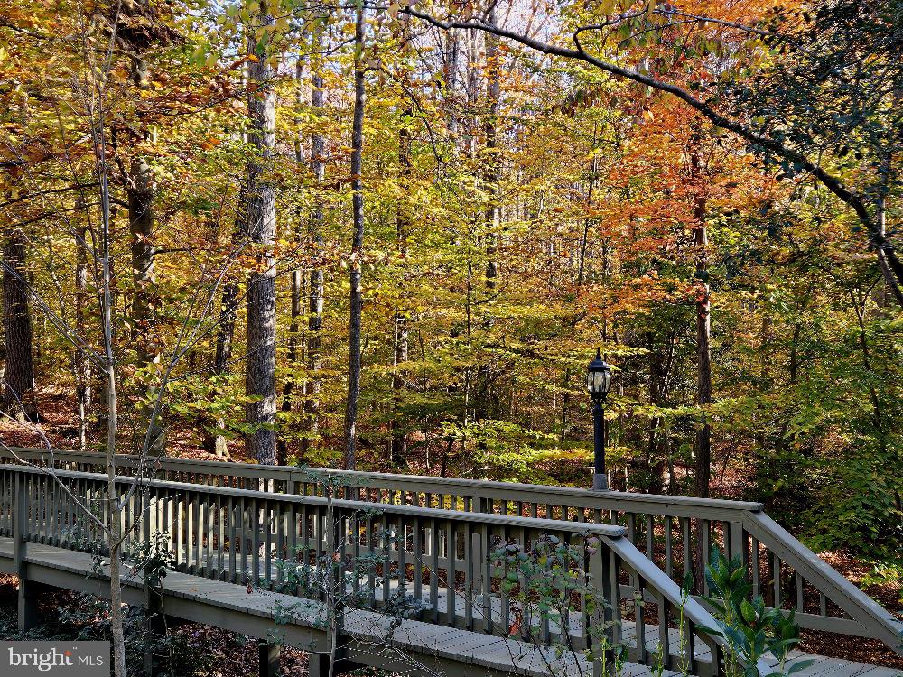 8099 Counselor Road Manassas, VA 20112 - Photo 75 of 82 Gallery Image 75