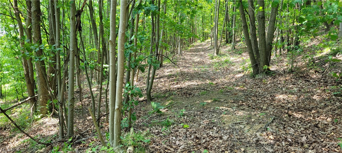 Southeast Edwards Ridge Road Southeast Uhrichsville, OH 44683 - Photo 32 of 34 Gallery Image 32