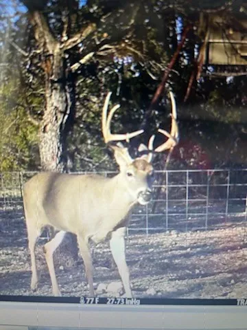 $2,145,620 | 572 Turner Road, Menard, TX 76859