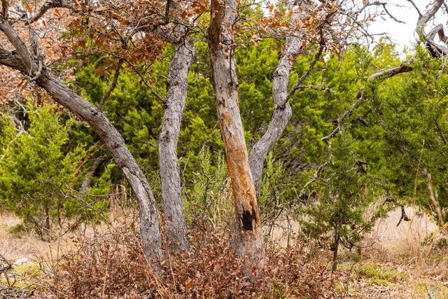 $2,145,620 | 572 Turner Road, Menard, TX 76859