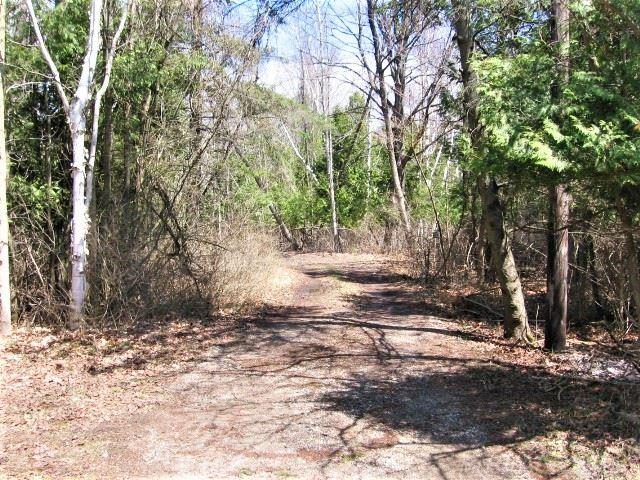 6630 Snover Road Port Sanilac, MI 48469 - Photo 42 of 44 31378124-41.JPG