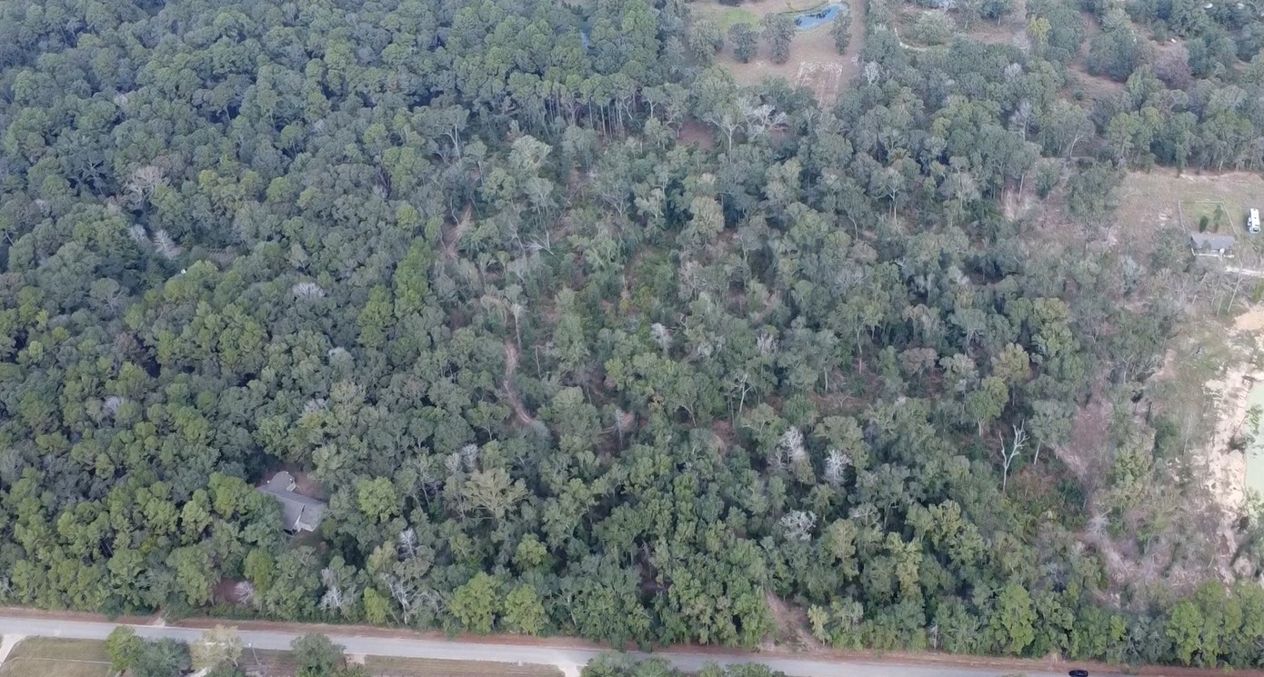 0 Crowley Road Conroe, TX 77306 - Photo 2 of 3