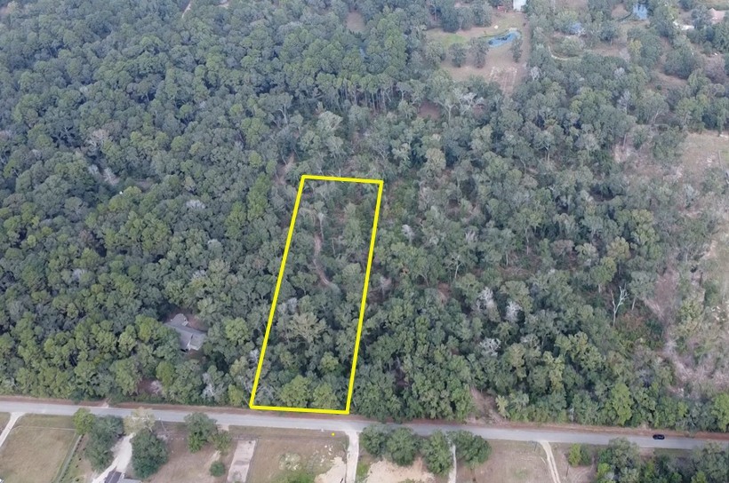 0 Crowley Road Conroe, TX 77306 - Photo 3 of 3