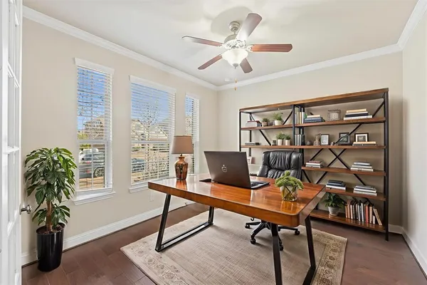 a living room with furniture a rug and a potted plant