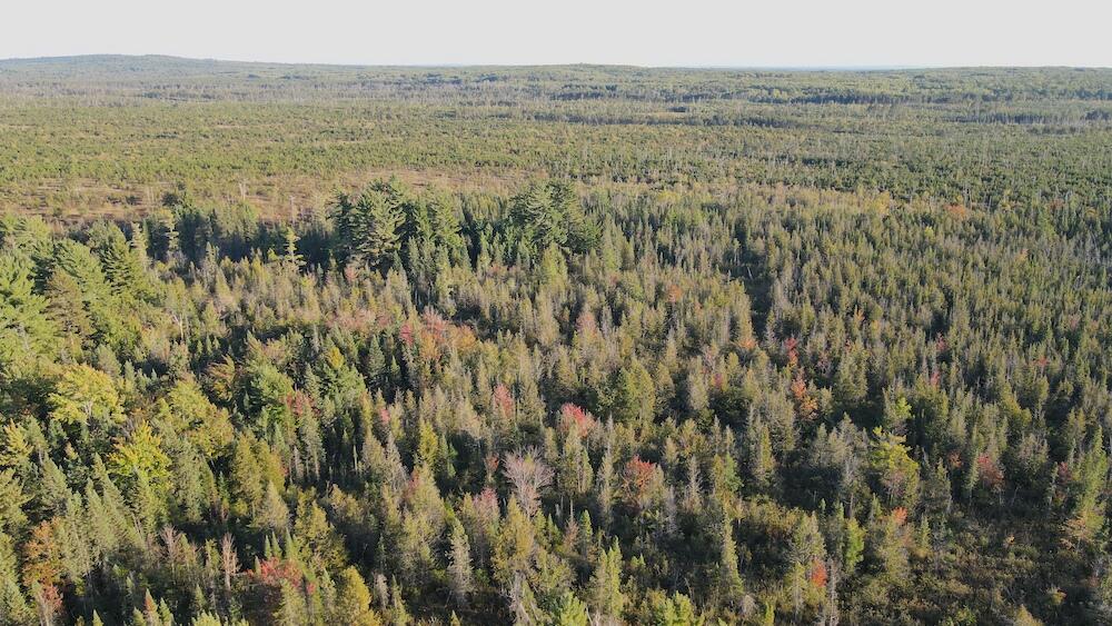 Vl River Lake Road Roscommon, MI 48653 - Photo 1 of 35