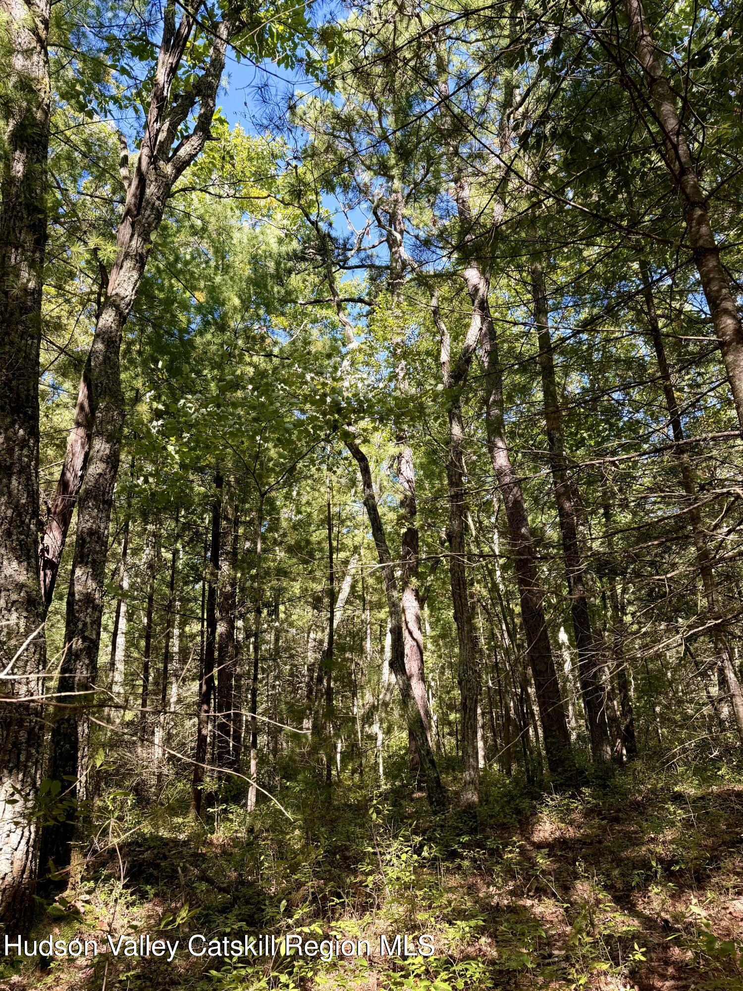 Lot 1 Bennett Road Ellenville, NY 12428 - Photo 3 of 9 IMG_3260