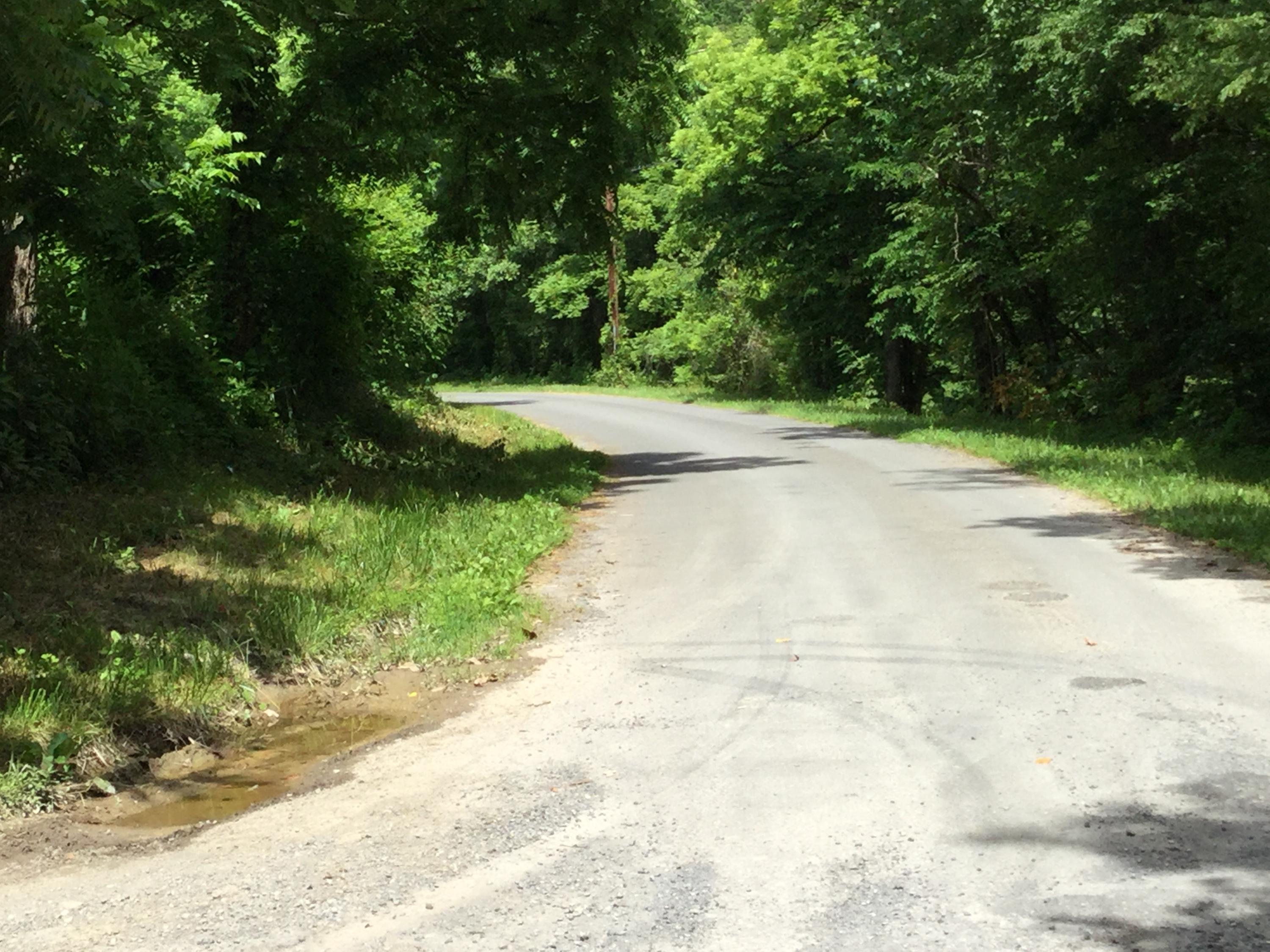 Old 15th And Rocky Top Road Del Rio, TN 37727 - Photo 12 of 24 IMG_0278