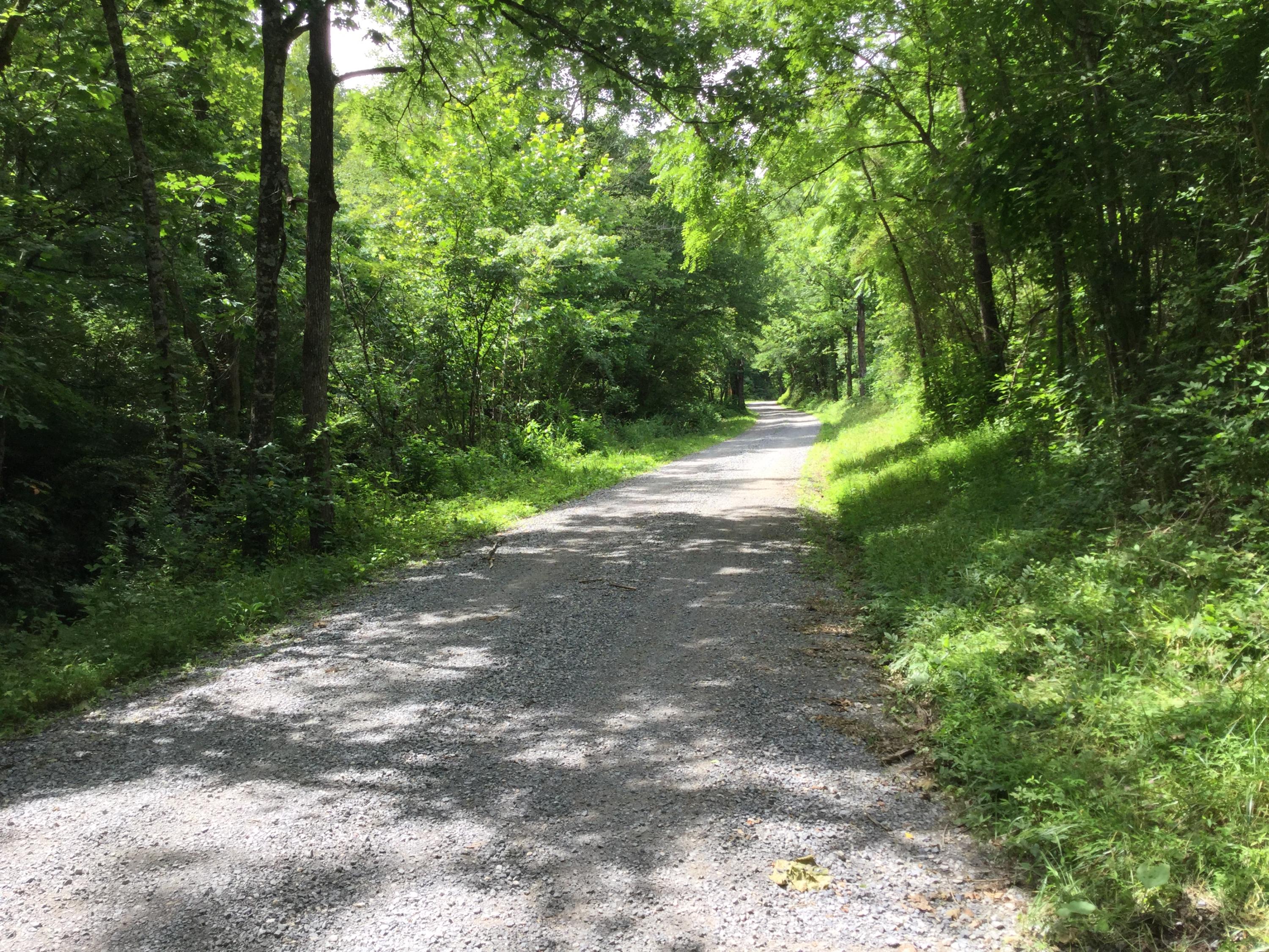Old 15th And Rocky Top Road Del Rio, TN 37727 - Photo 18 of 24 IMG_0284