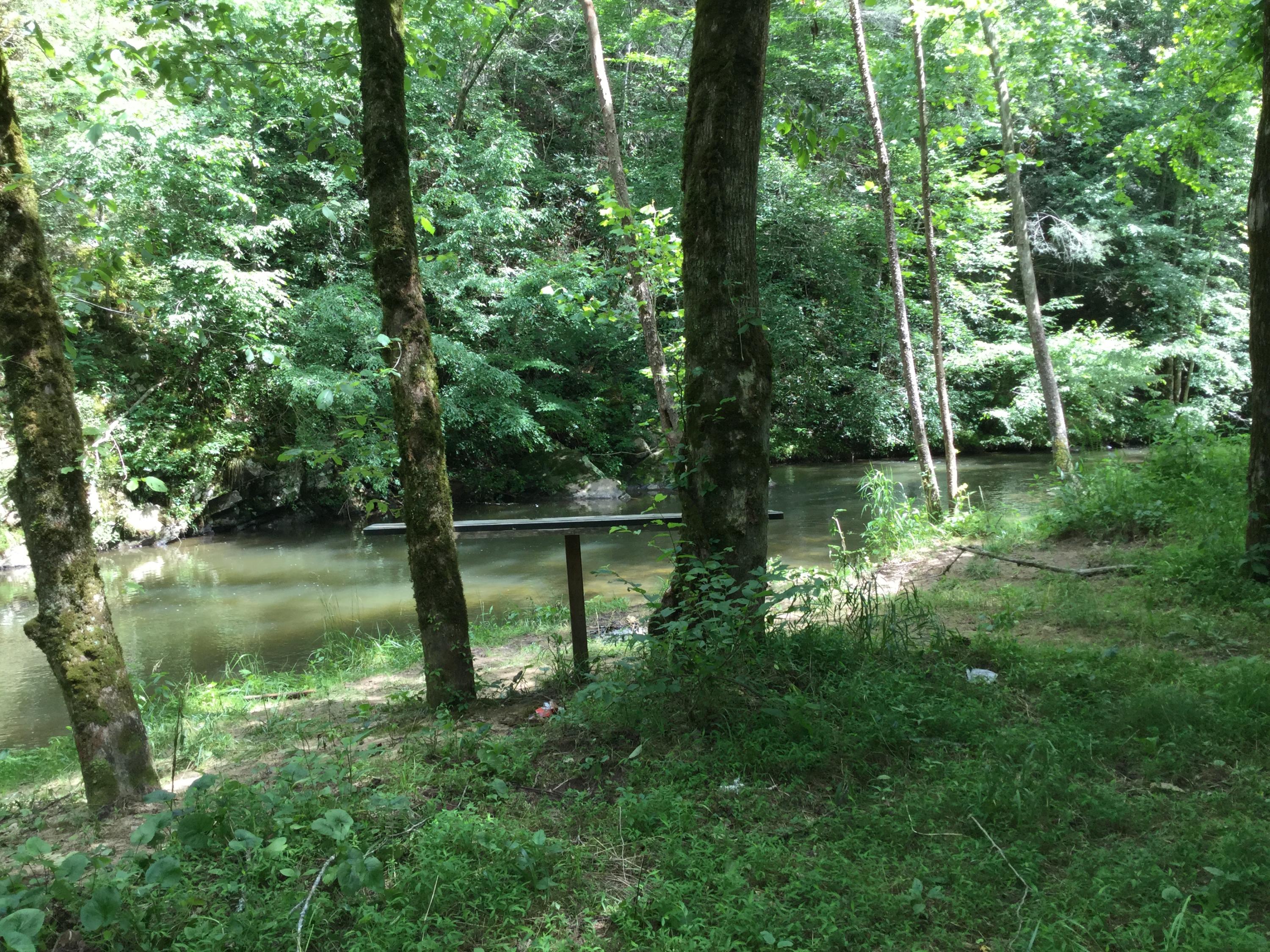 Old 15th And Rocky Top Road Del Rio, TN 37727 - Photo 20 of 24 IMG_0286