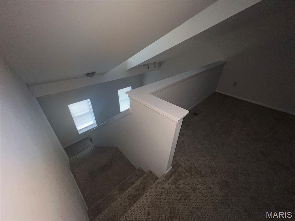 1007 Allen Avenue St. Louis, MO 63104 - Photo 20 of 34