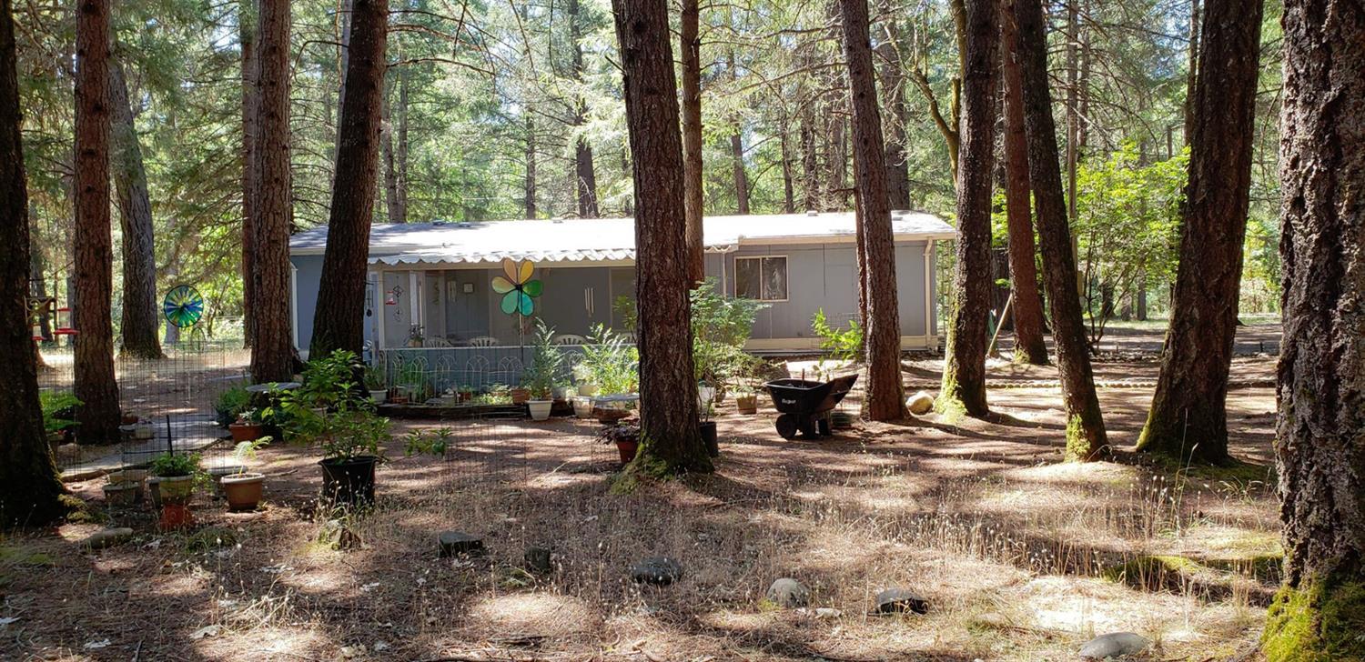 5045 Takilma Road Cave Junction, OR 97523 - Photo 5 of 28 Additional Photo