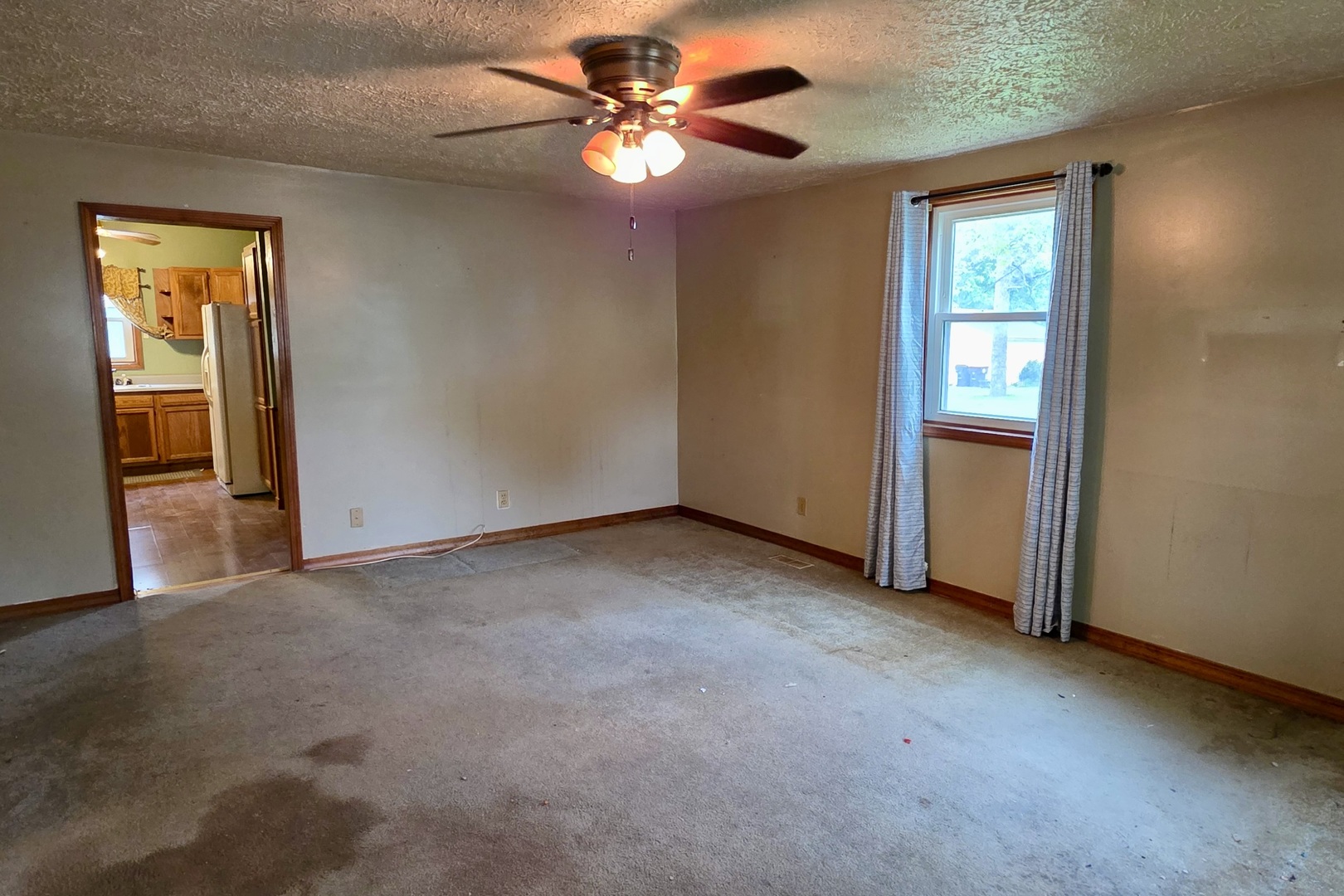 406 East North Street Danvers, IL 61732 - Photo 7 of 14