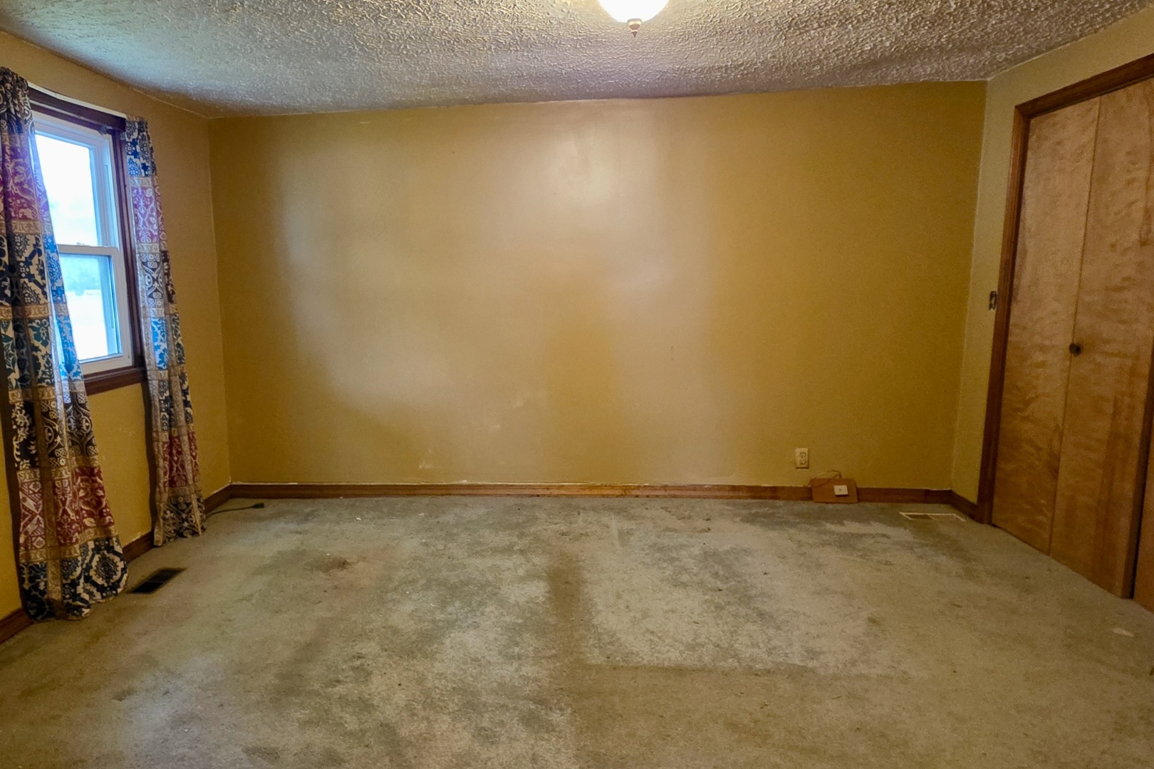 406 East North Street Danvers, IL 61732 - Photo 8 of 14