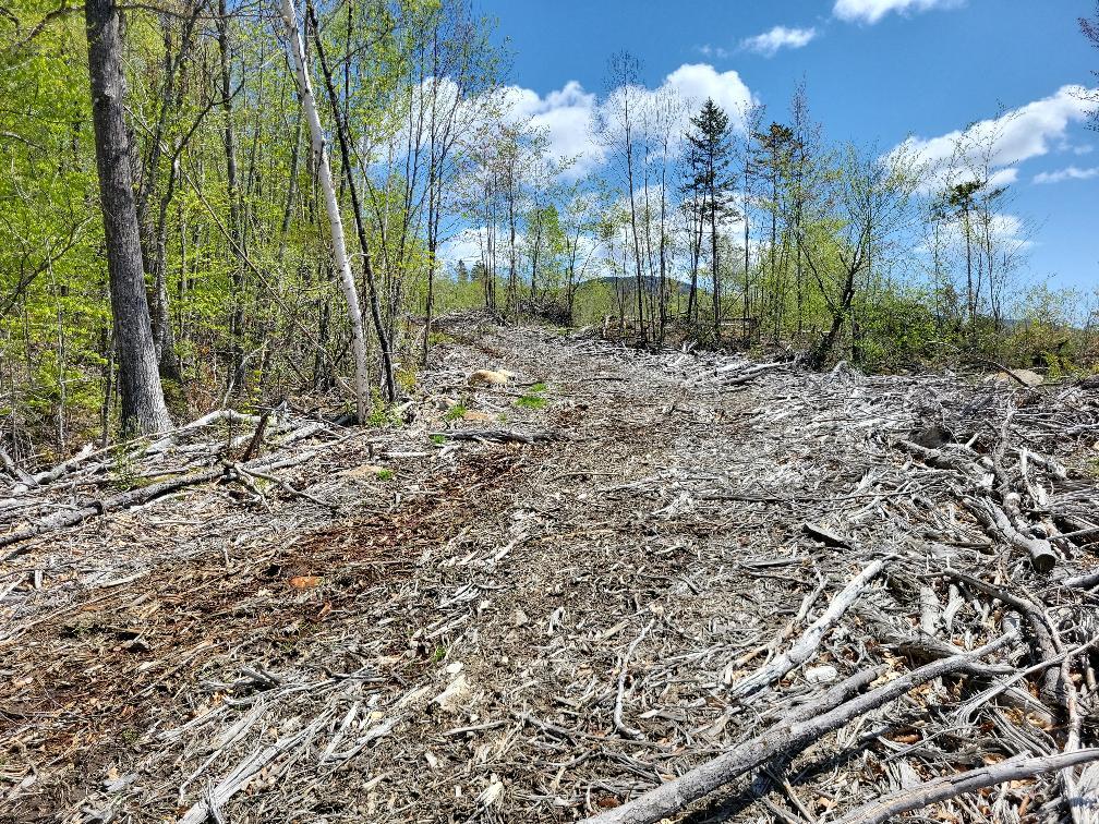 Lot 11 Swift River Road Byron, ME 04275 - Photo 27 of 72 photo_852b21d3-7a1a-4cce-ab96-51077931fc