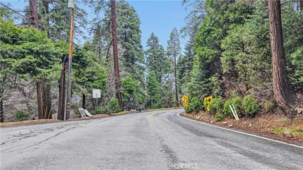 a view of a road with trees in the background