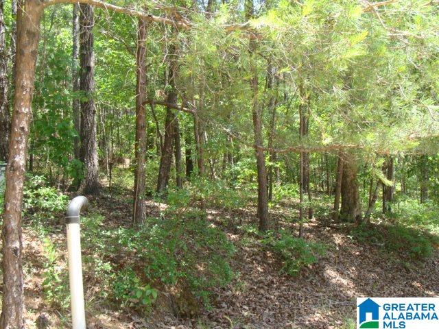 0 Stipes Road, Unit ACREAGE West Blocton, AL 35184 - Photo 4 of 6
