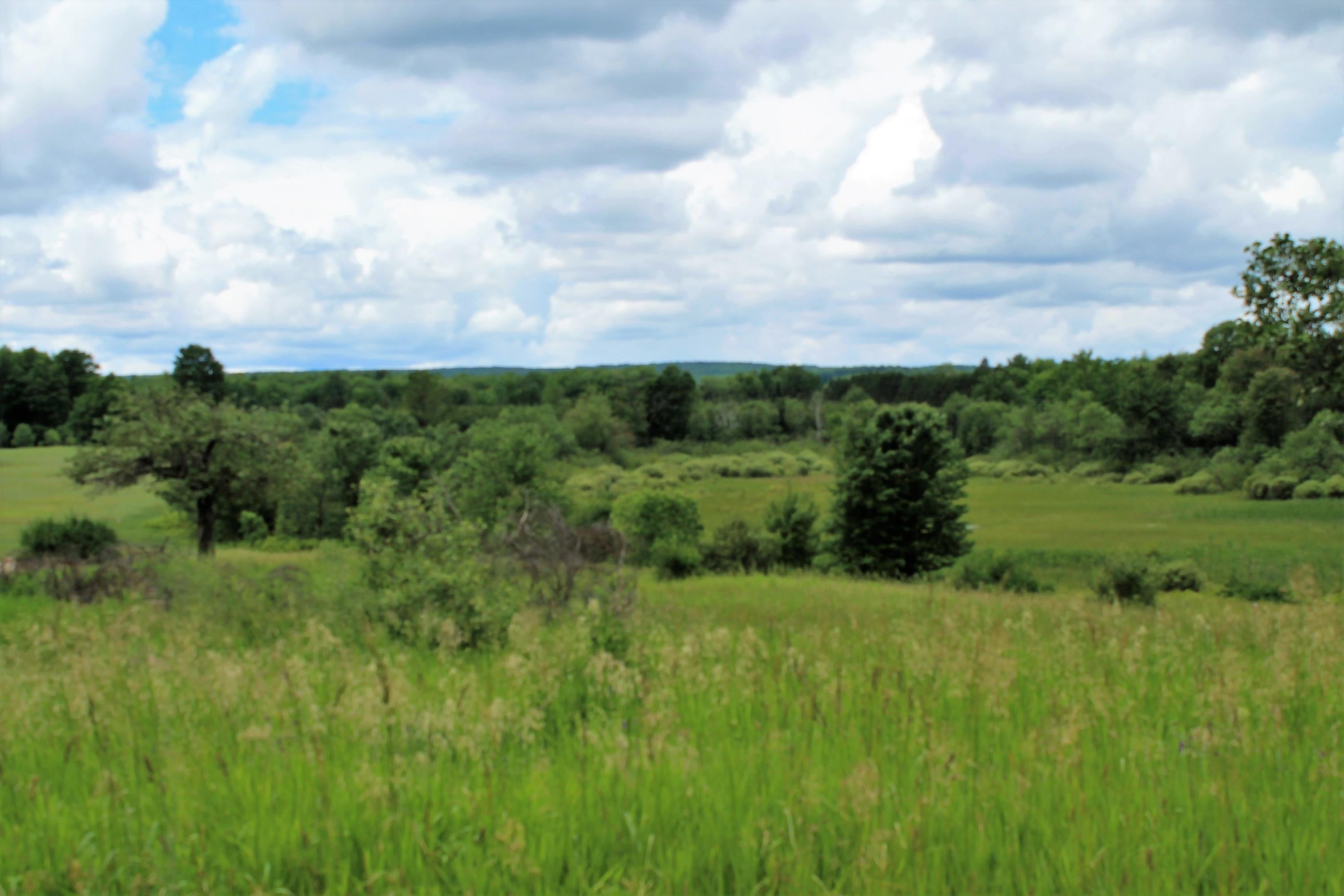 11438 Hossler Road Atlanta, MI 49709 - Photo 68 of 88 Gallery Image 68