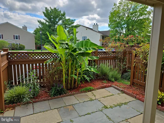 a view of a flower in a garden