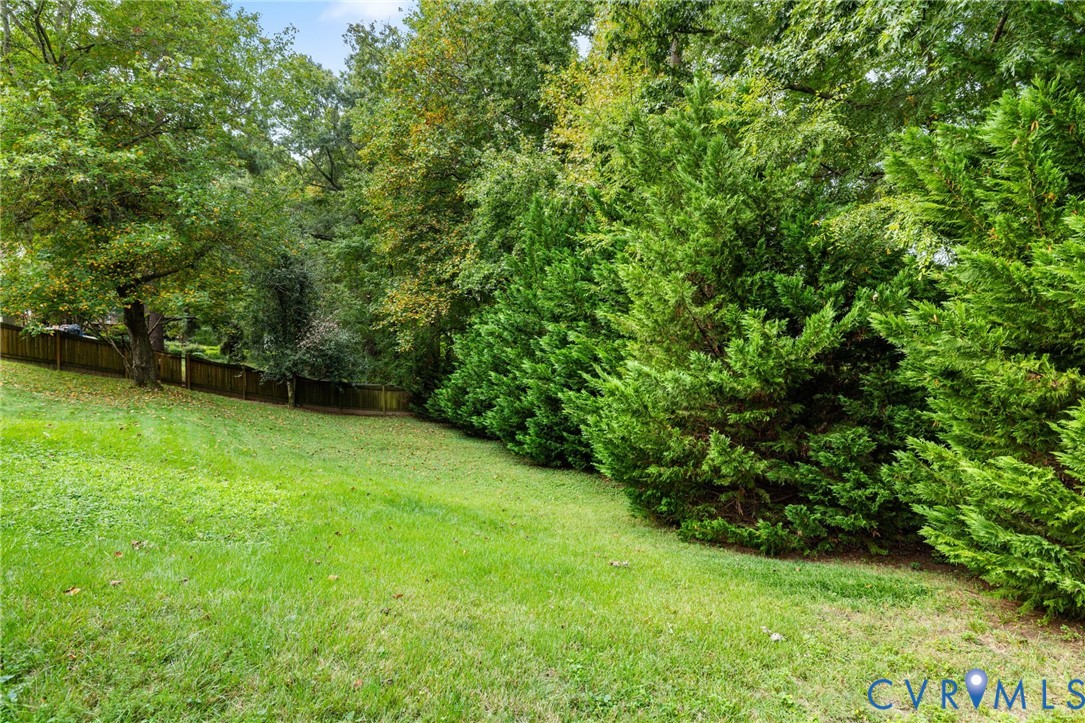 1040 Black Heath Road Midlothian, VA 23113 - Photo 23 of 26 View of yard